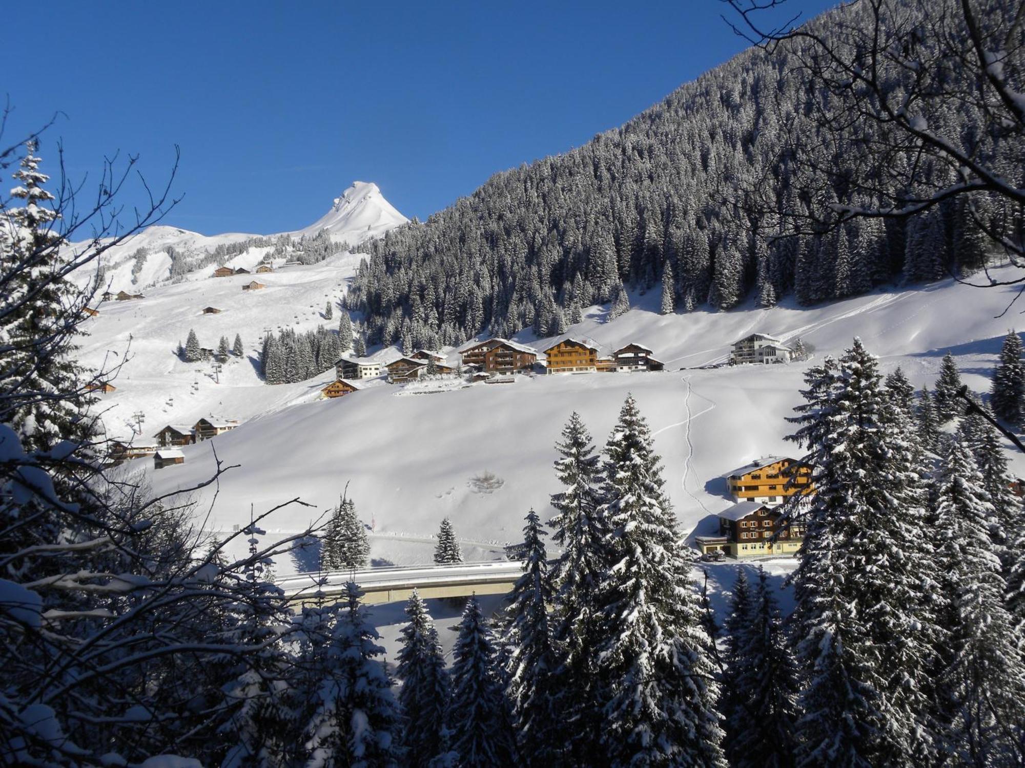 Hotel Alpenblume Damuels Eksteriør bilde